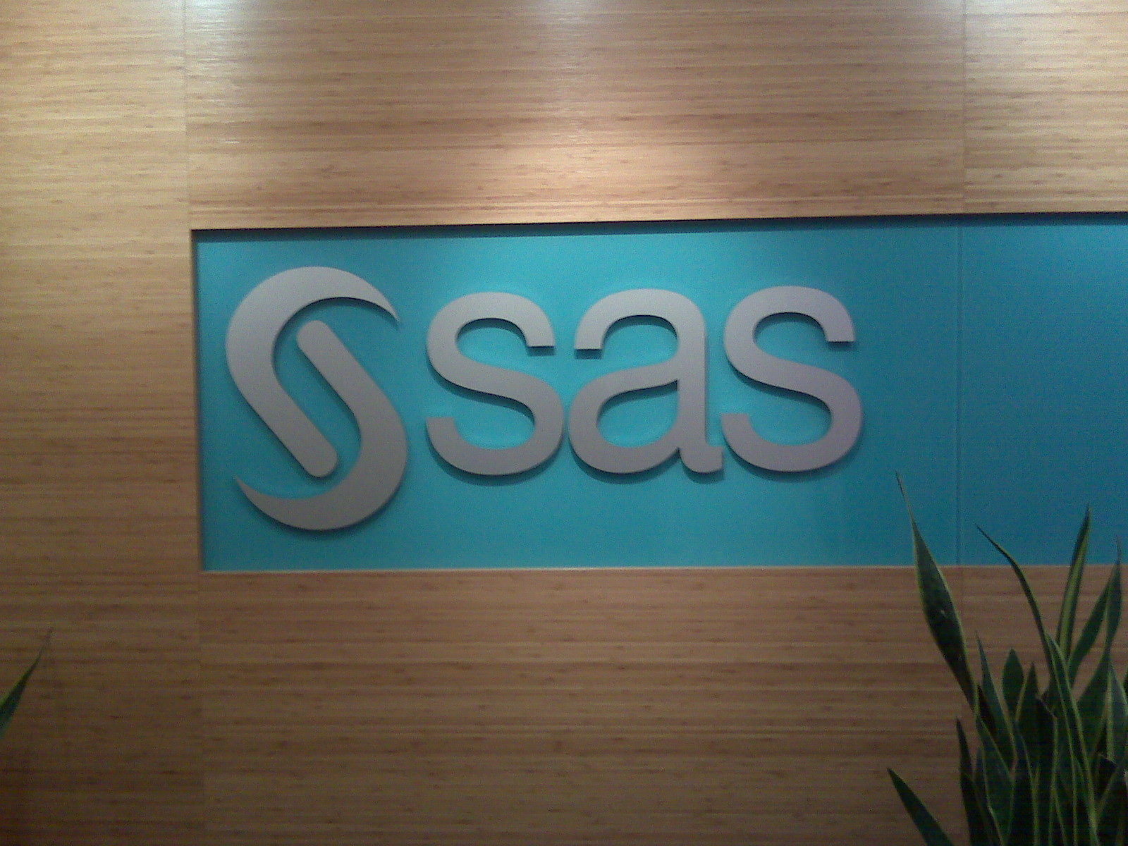 SAS